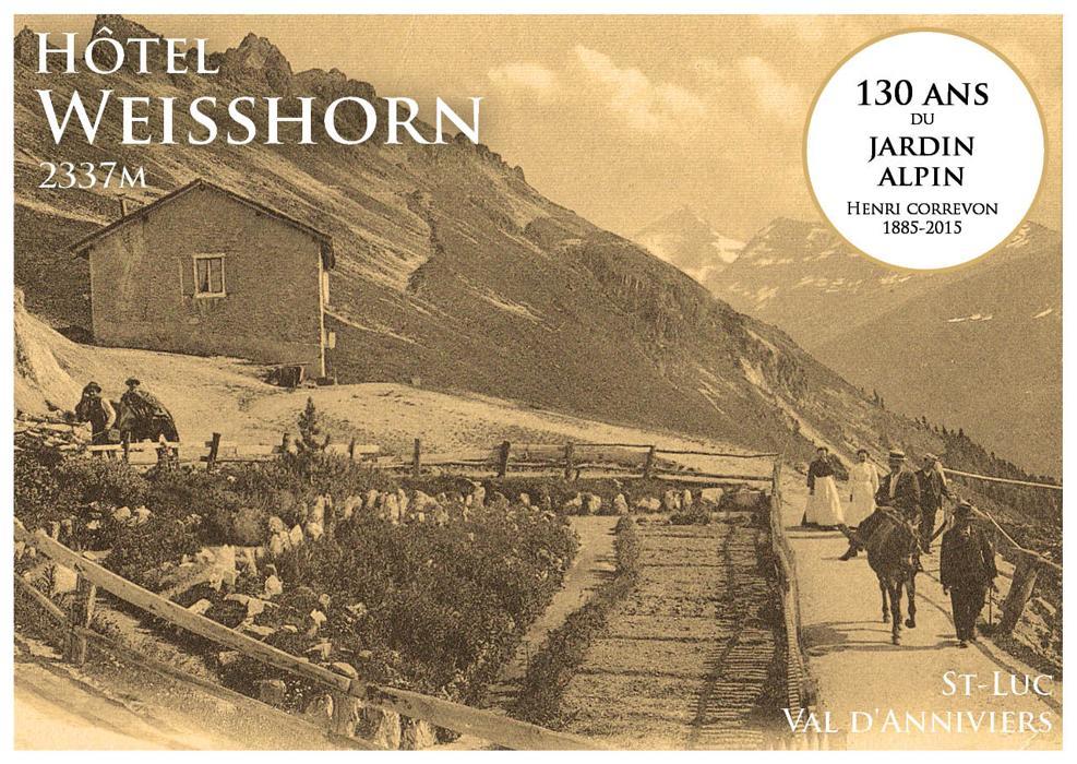 Hôtel Weisshorn sur St-Luc 2337m Saint-Luc Extérieur photo